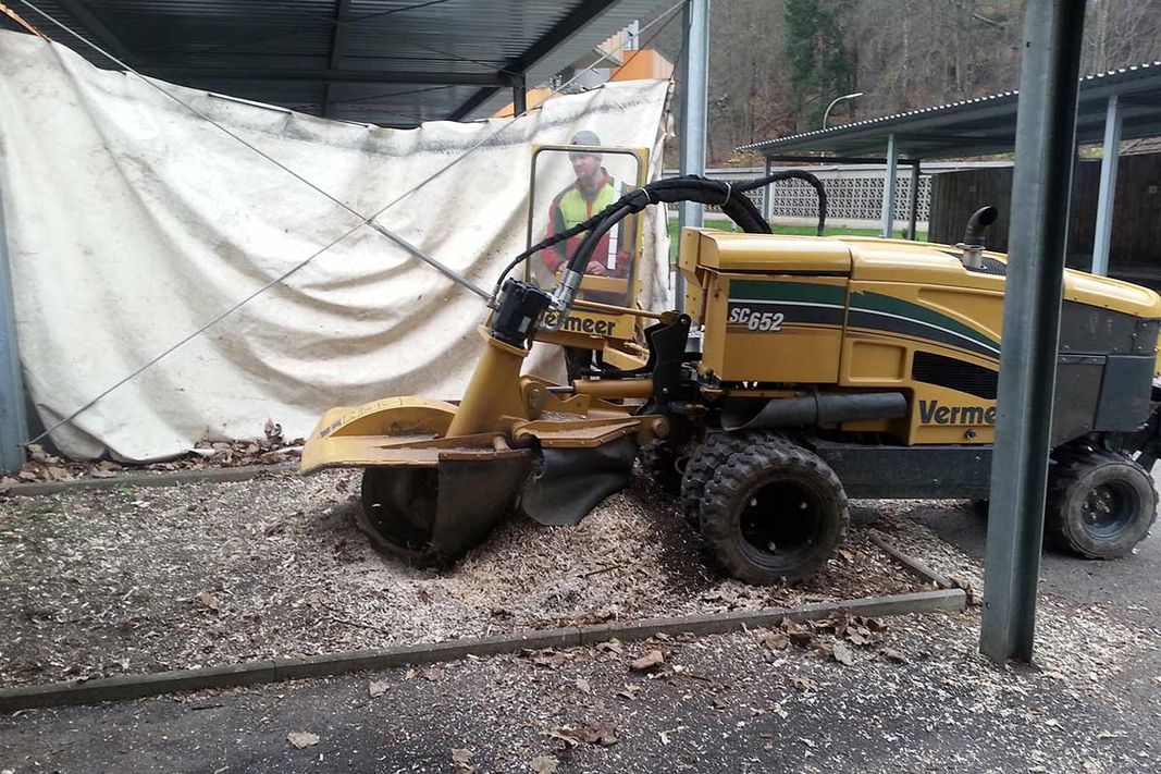 Bild 4 von A-Team Dienstleistungen