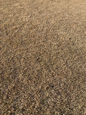 Images Greenway Lawn Care