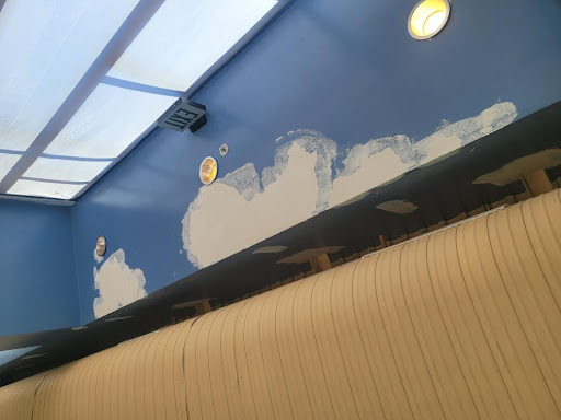 Images Silver Star Painting Inc