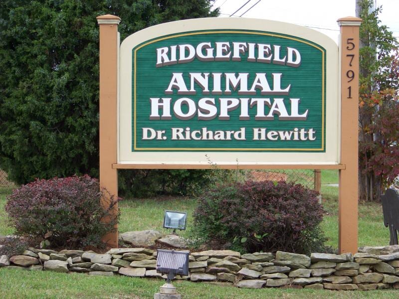 Images Ridgefield Animal Hospital