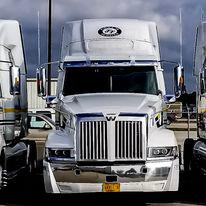Intermodal, Trucking-long/short haul, Port of Mobile drayage and distribution services.