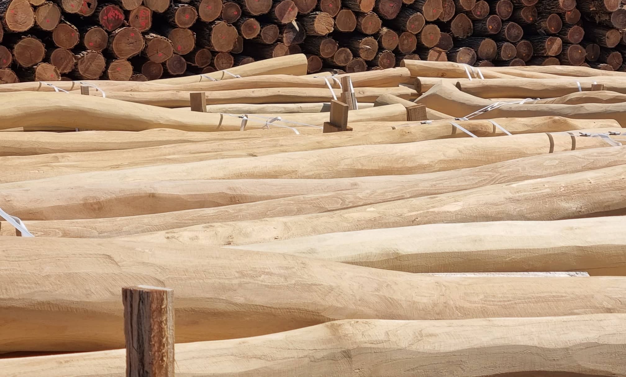 Bild 8 von Lettner Holzhandel