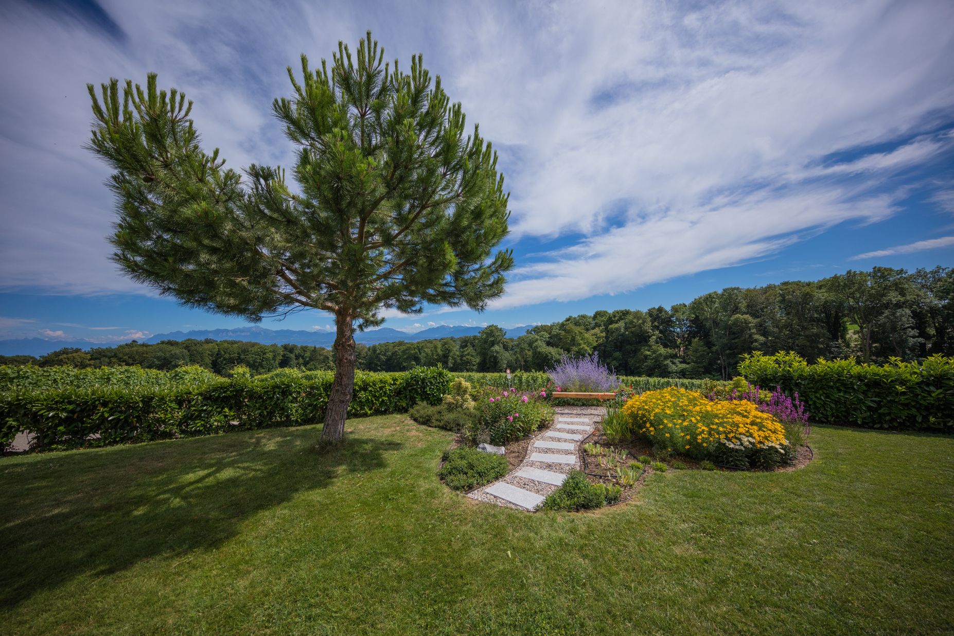 Bilder Taïga, Inspiration Nature SA