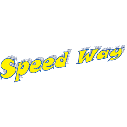 Logo Fahrschule Speed Way