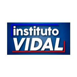 Instituto Vidal, Idiomas, Arte Y Cultura Logo