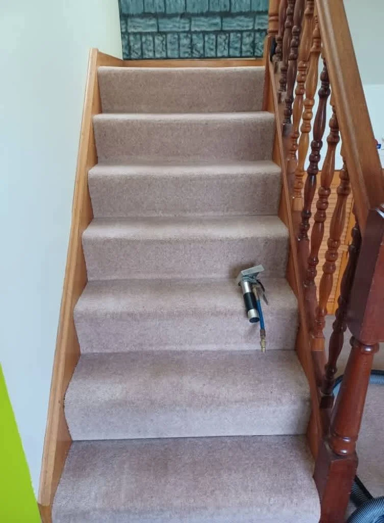 Images Johnshaven Carpet Cleaning Services