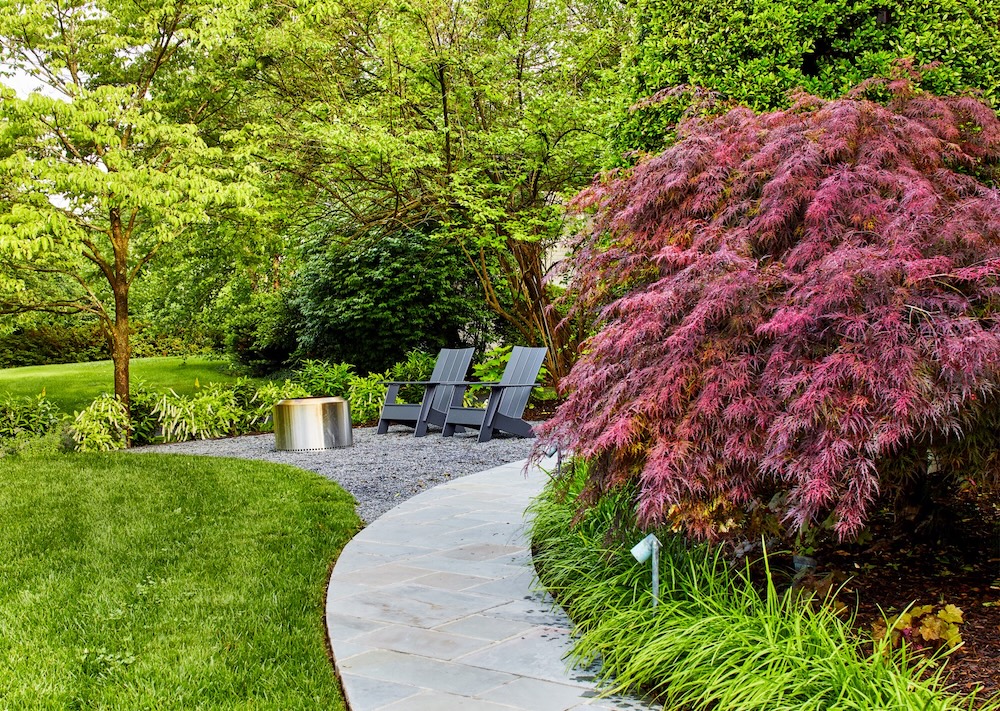 Black Pearl Management Image