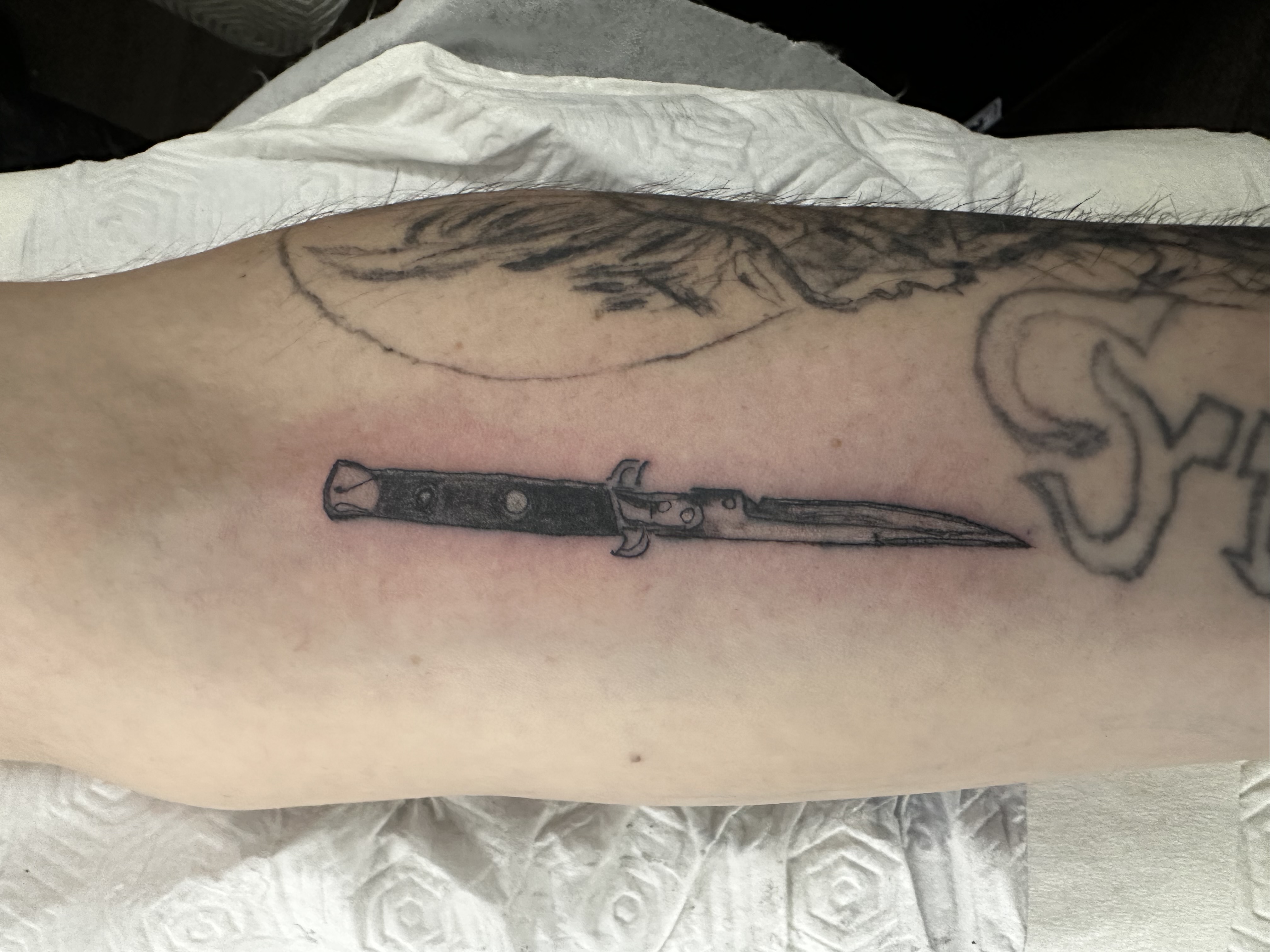 House of Pain - Tattoo & Piercing, Windmühlenstr. 22 in Gröditz