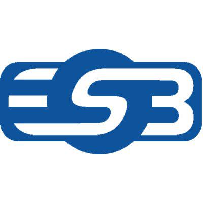 ESB IT-Services e.K. in Hersbruck - Logo