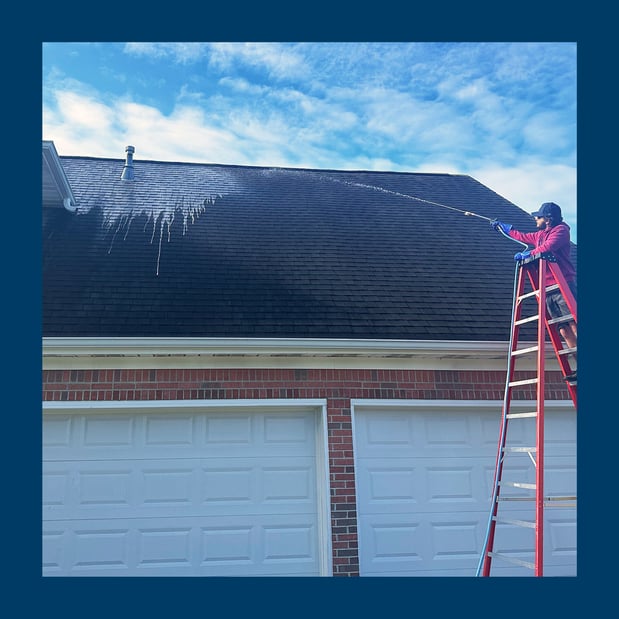 Images Window Hero Raleigh