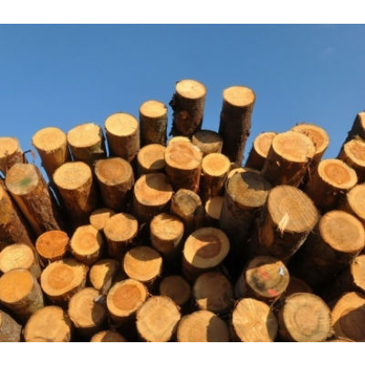 Images Teza Fratelli Snc