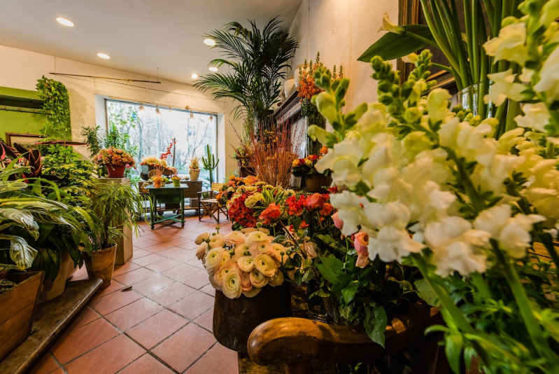 Images Nasone Fiori  Asinari Luigi