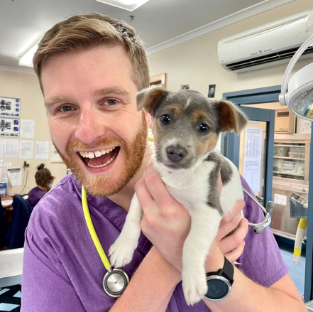 Images Greenwood Veterinary Care