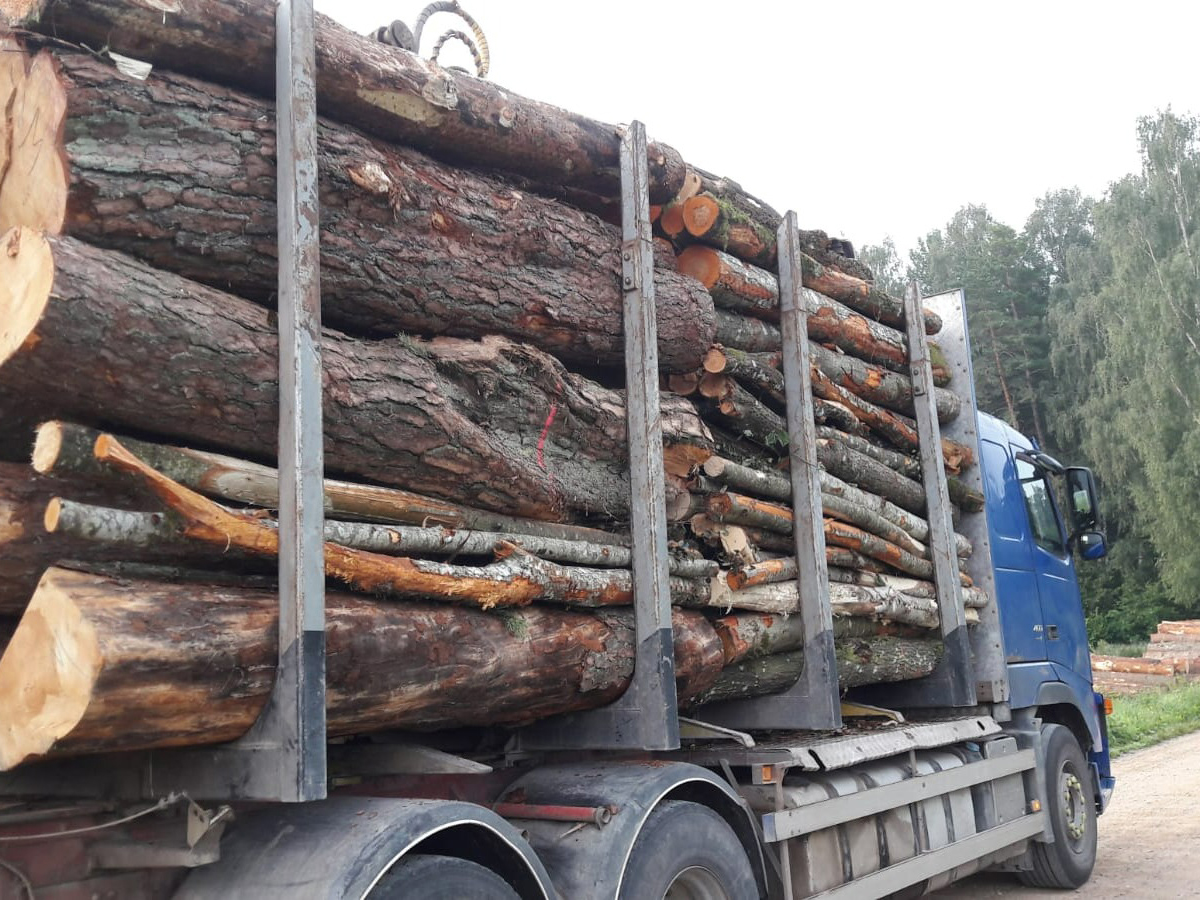 Mežmikeļi baļķvedējs veic koksnes transportu sarežģītos meža apstākļos