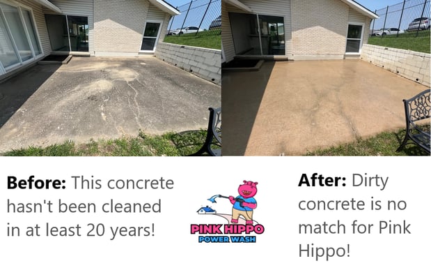 Images Pink Hippo Power Wash