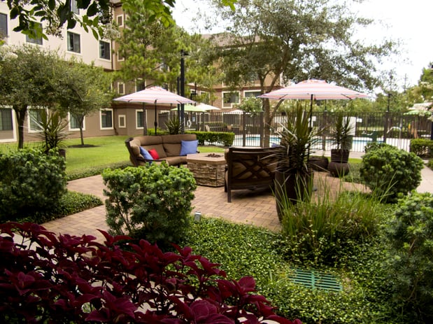 Images Staybridge Suites Houston West/Energy Corridor by IHG