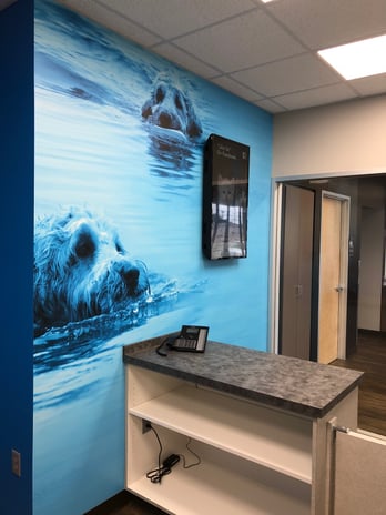 Images CityVet | Lovers Lane