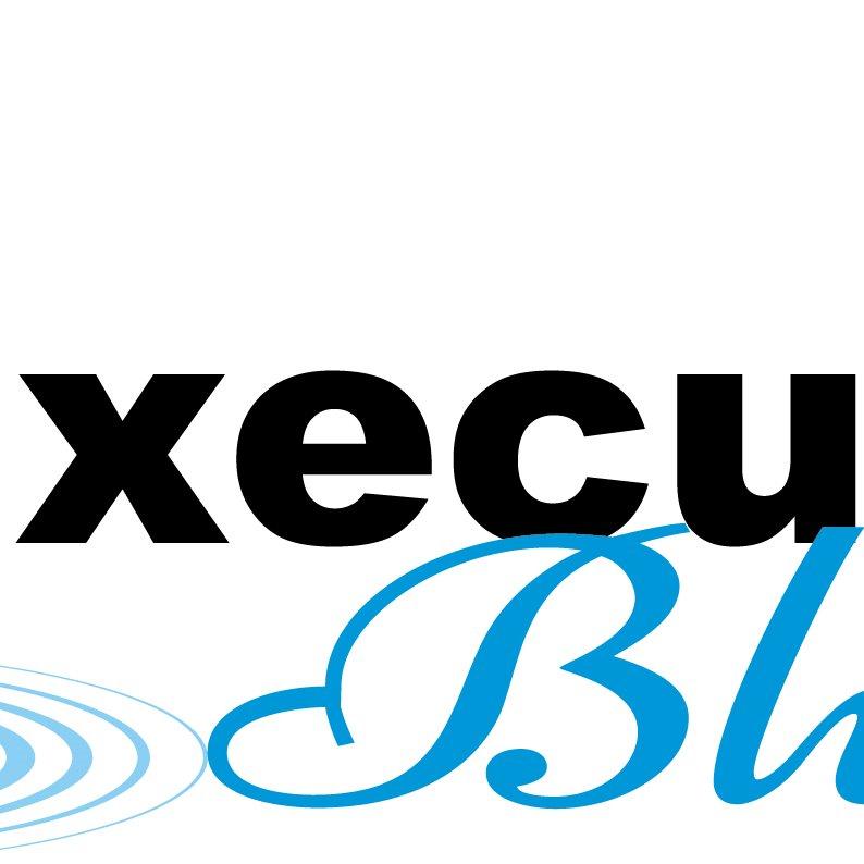Executive Blue Pools Logo