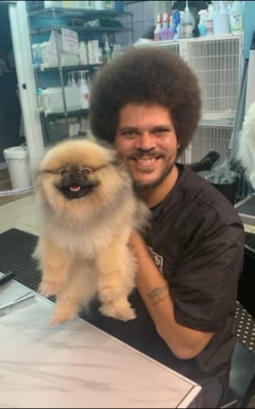Images San Diego Grooming Academy