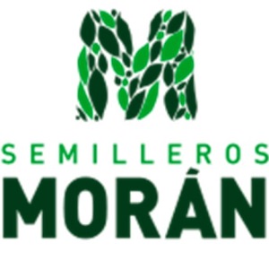 SEMILLEROS MORÁN Logo