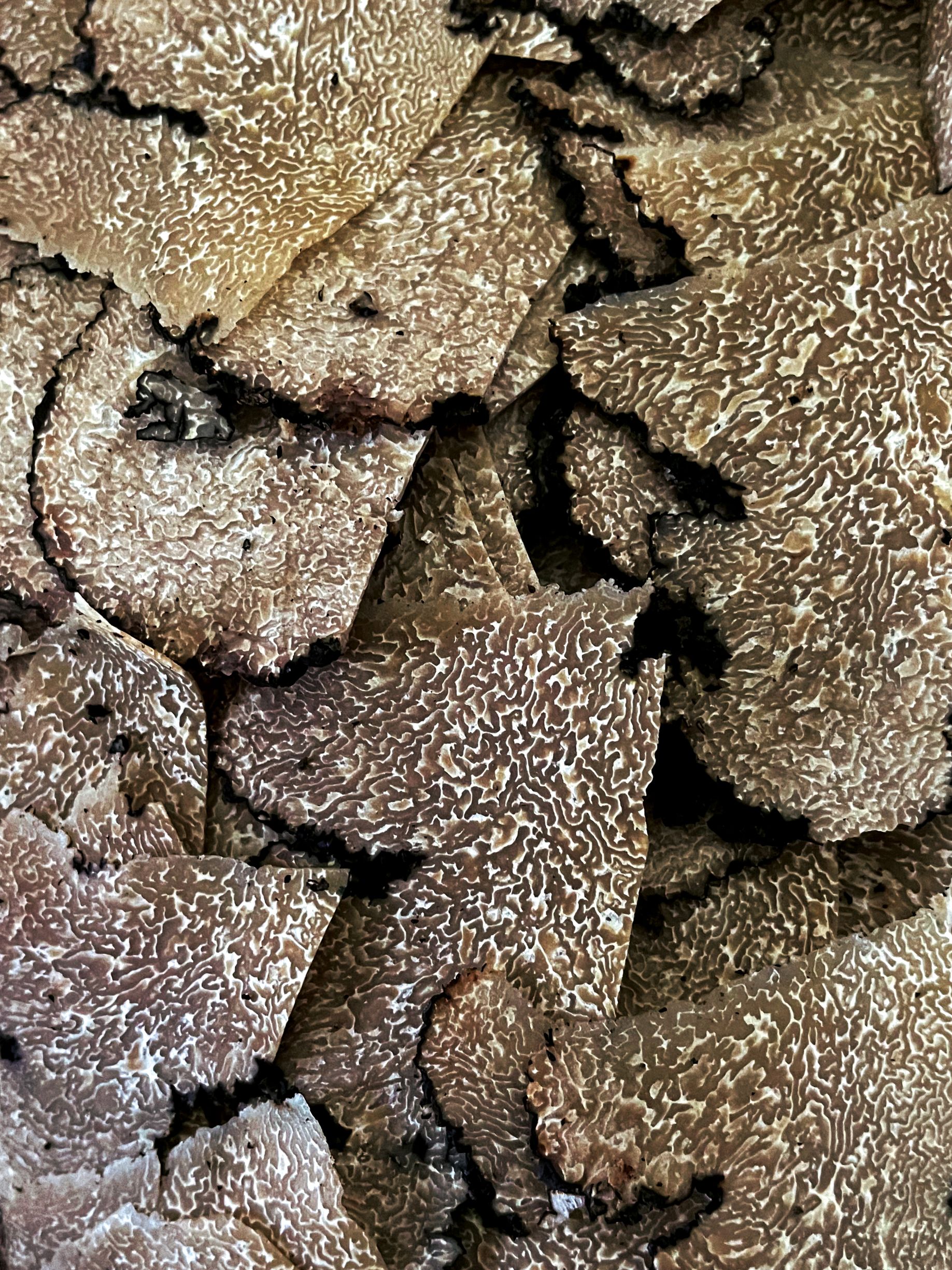 Le Trüf Innovation AG, Hauptstrasse 16 in Kreuzlingen