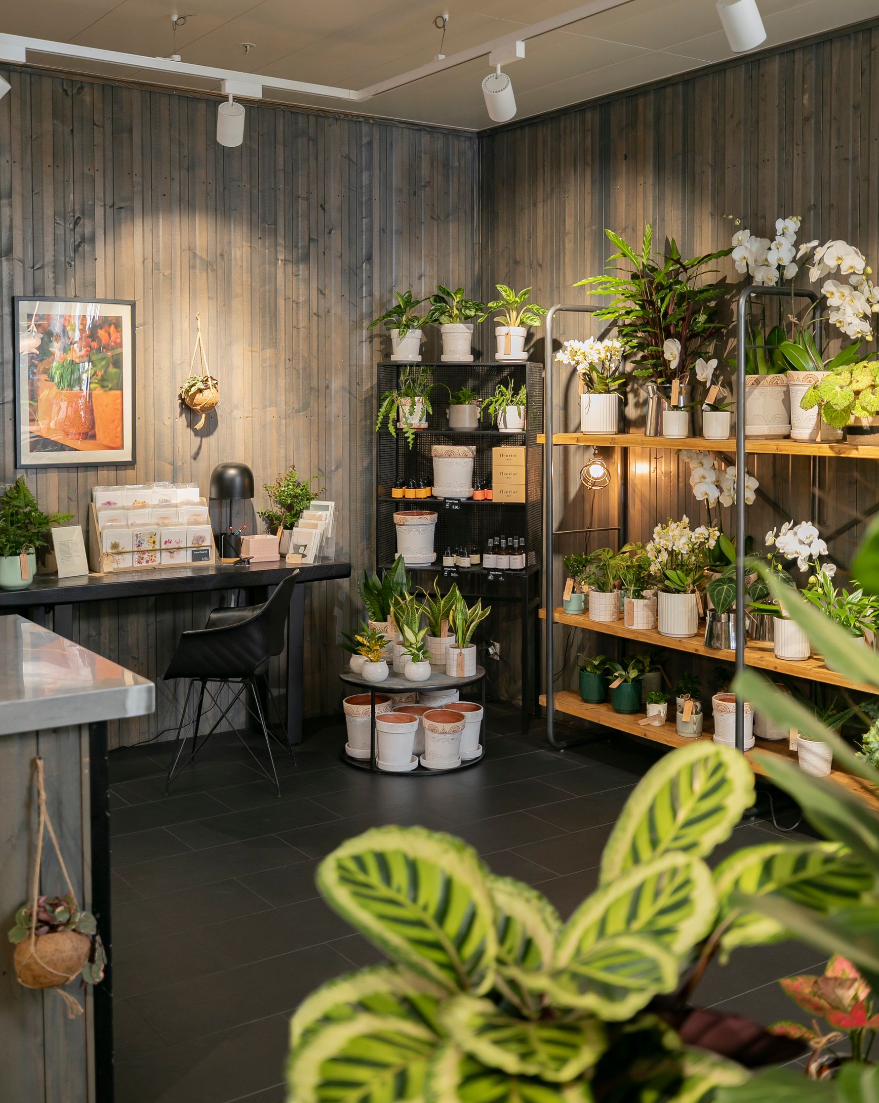 Bilder Fleuriot Fleurs, Fleuriste Gare O'Vives