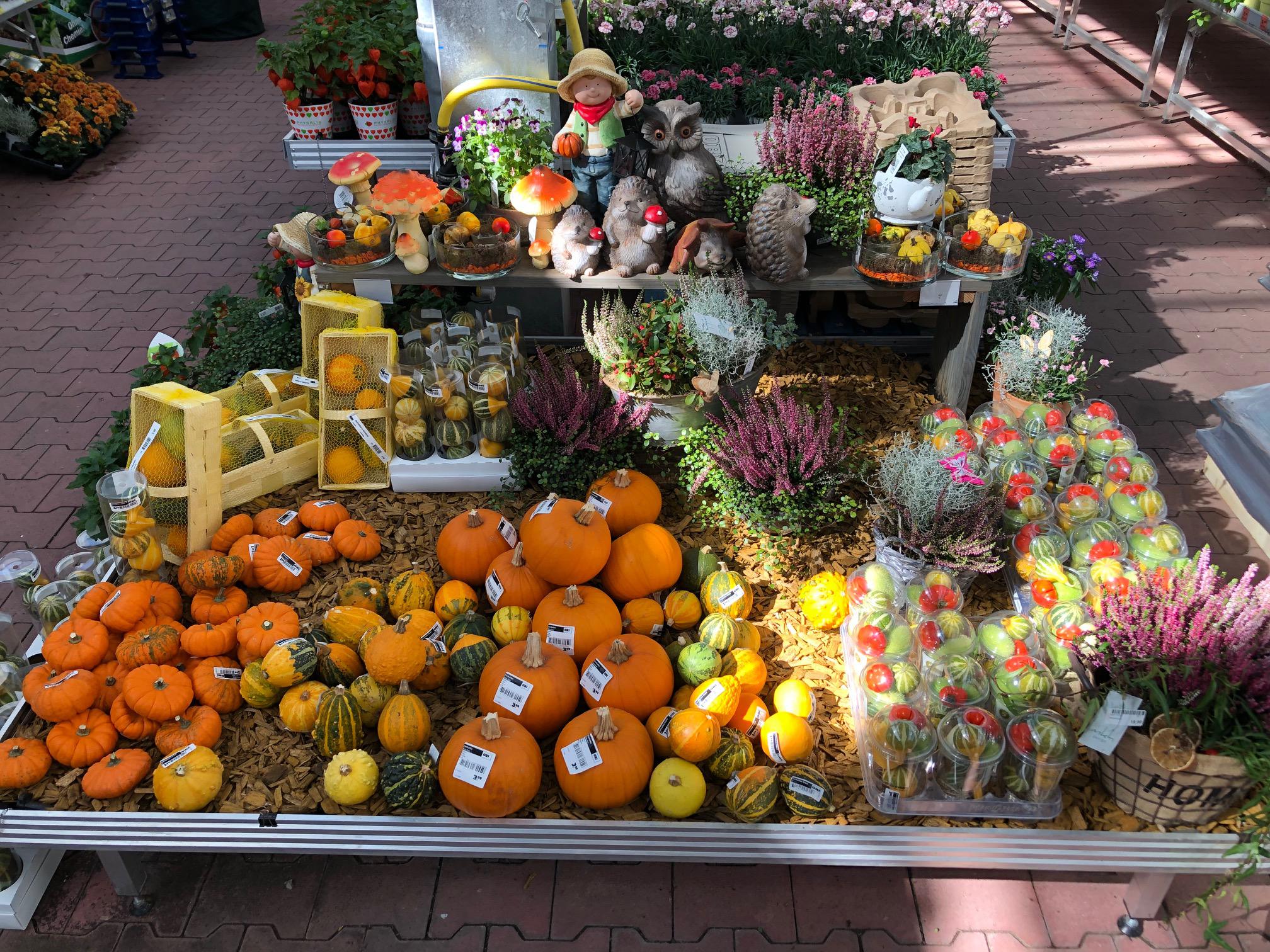 OBI Markt Freiburg Süd in 79111, Freiburg im Breisgau