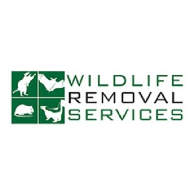 Wildlife Removal Services San Diego (619)324-8443