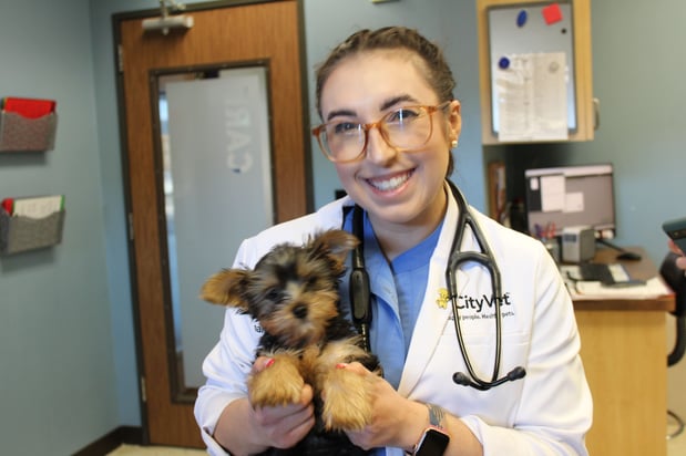 Images CityVet | Frisco