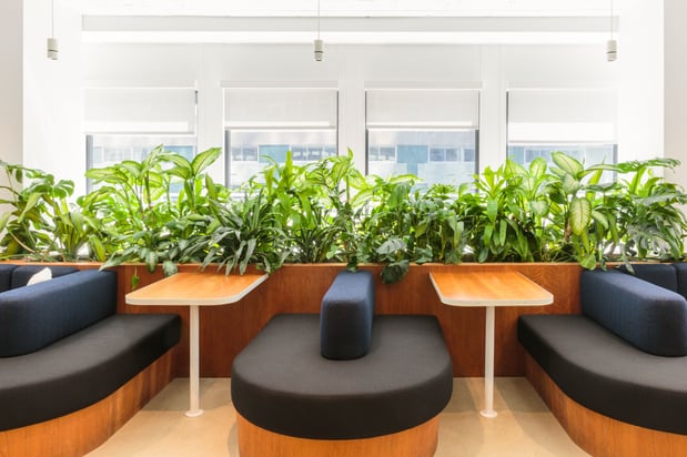 Images WeWork Coworking & Office Space