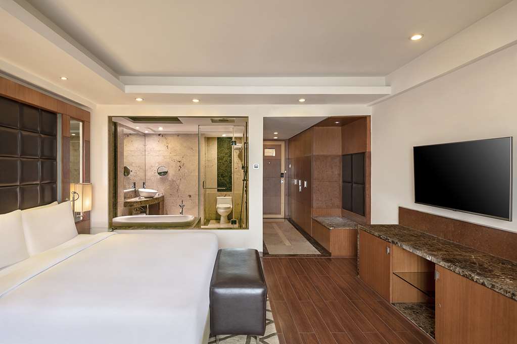 Radisson Blu Plaza Hotel, Delhi Airport