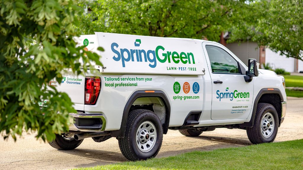 Spring Green Claymont (302)762-1499
