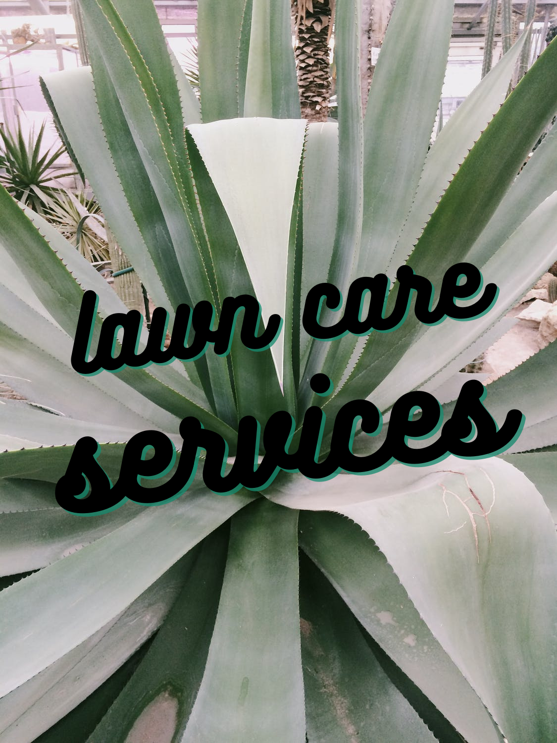 Trancape Your Landscape. Logo