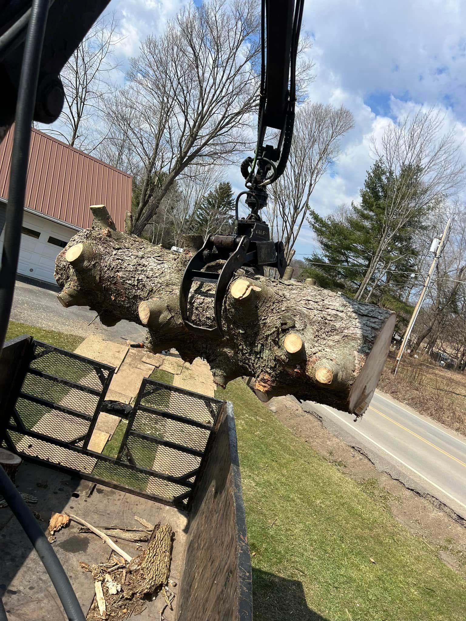 J & J Tree Services Image