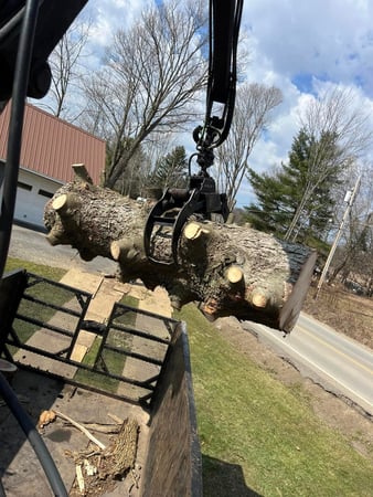 Images J & J Tree Services