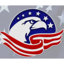 Freedom Services & Training LLC Logo