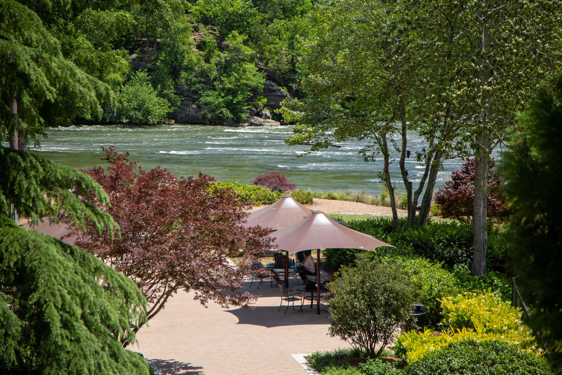 Walton On The Chattahoochee Photo