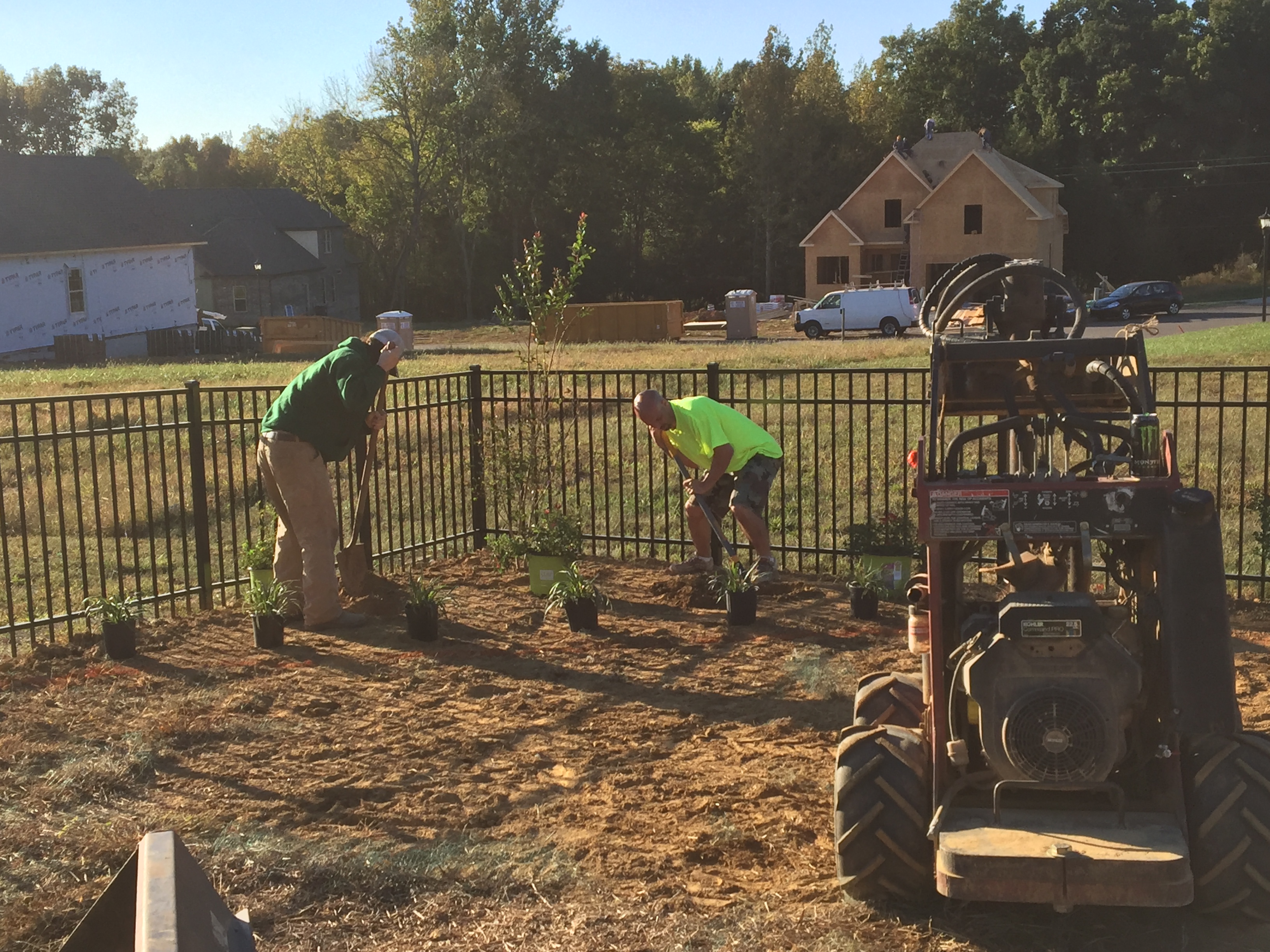 Affordable Lawn Care Image