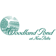 Woodland Pond At New Paltz