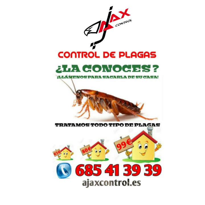 Images Ajax Control De Plagas