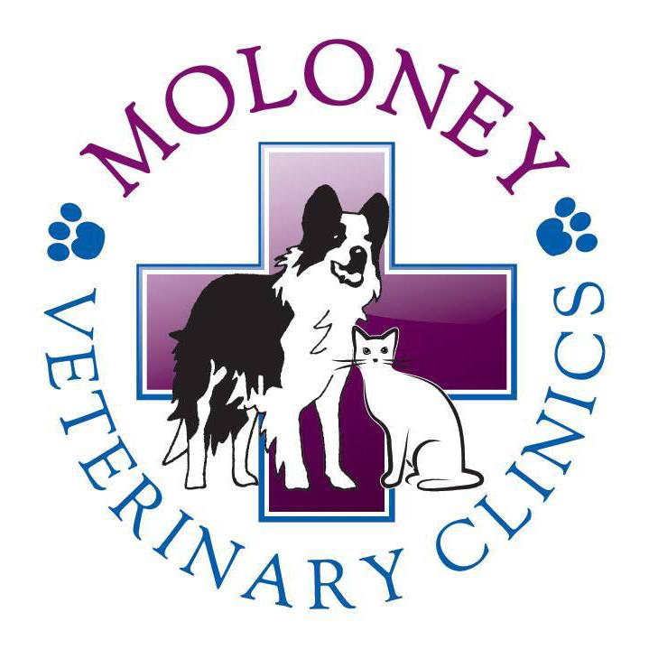 Moloney Veterinary Clinics, Takeley Branch Logo
