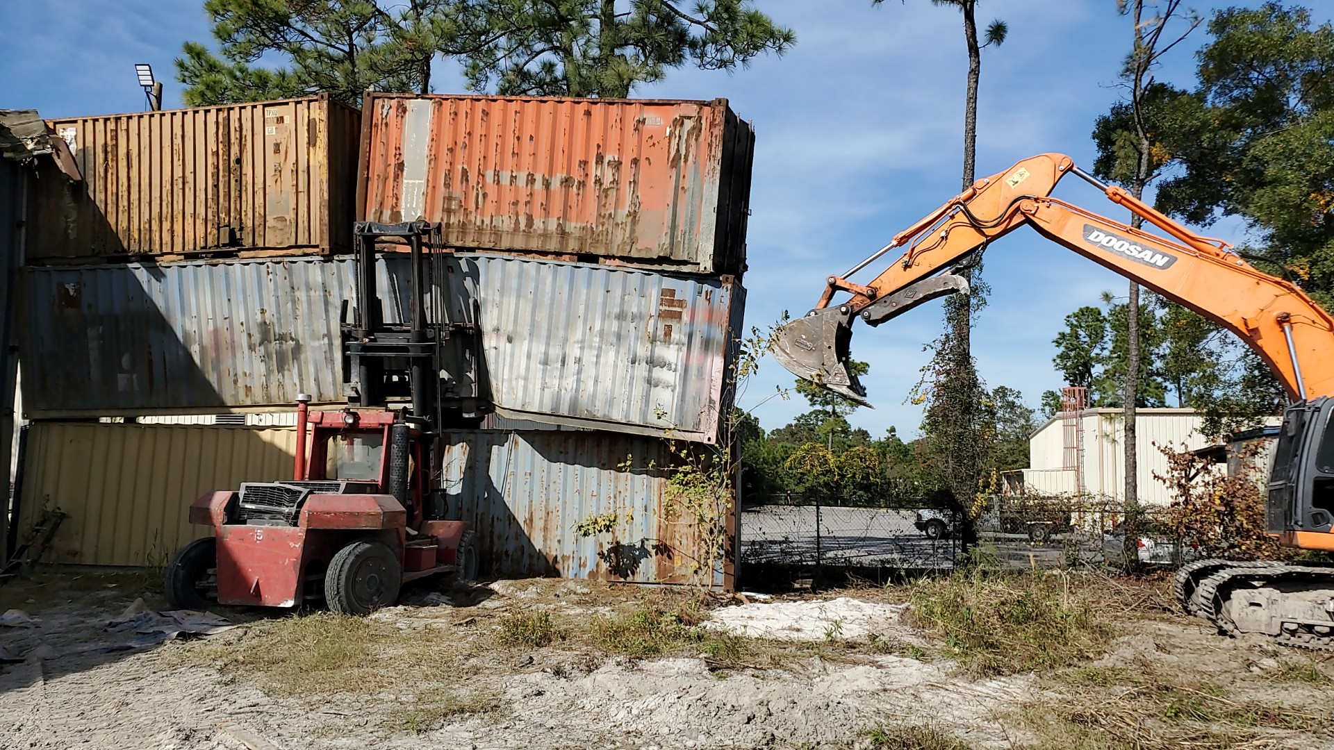 Big Cat Excavating Photo