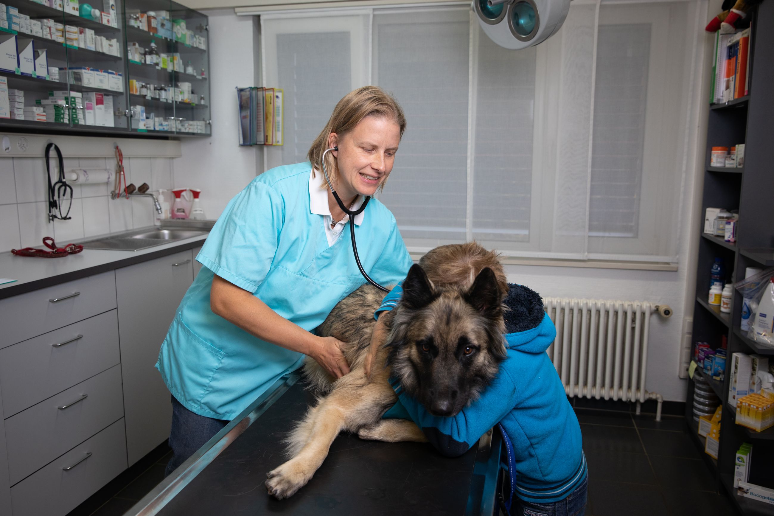 Bilder Tierklinik Leimental