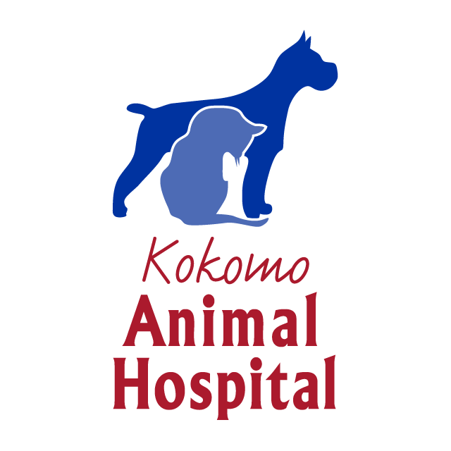 Kokomo Animal Hospital