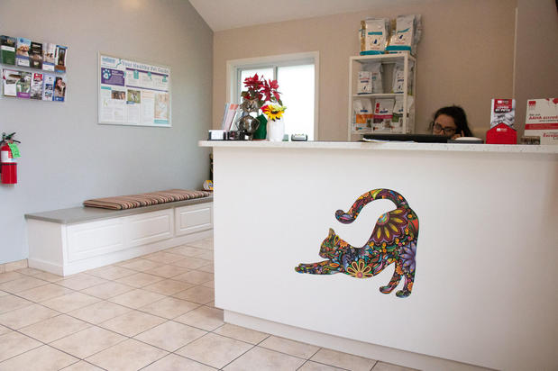 Images Family Pet Clinic 2