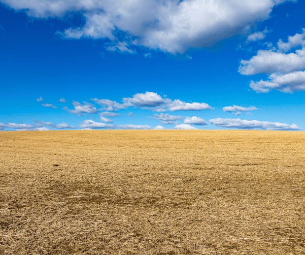 Images Troyer Ag Solutions