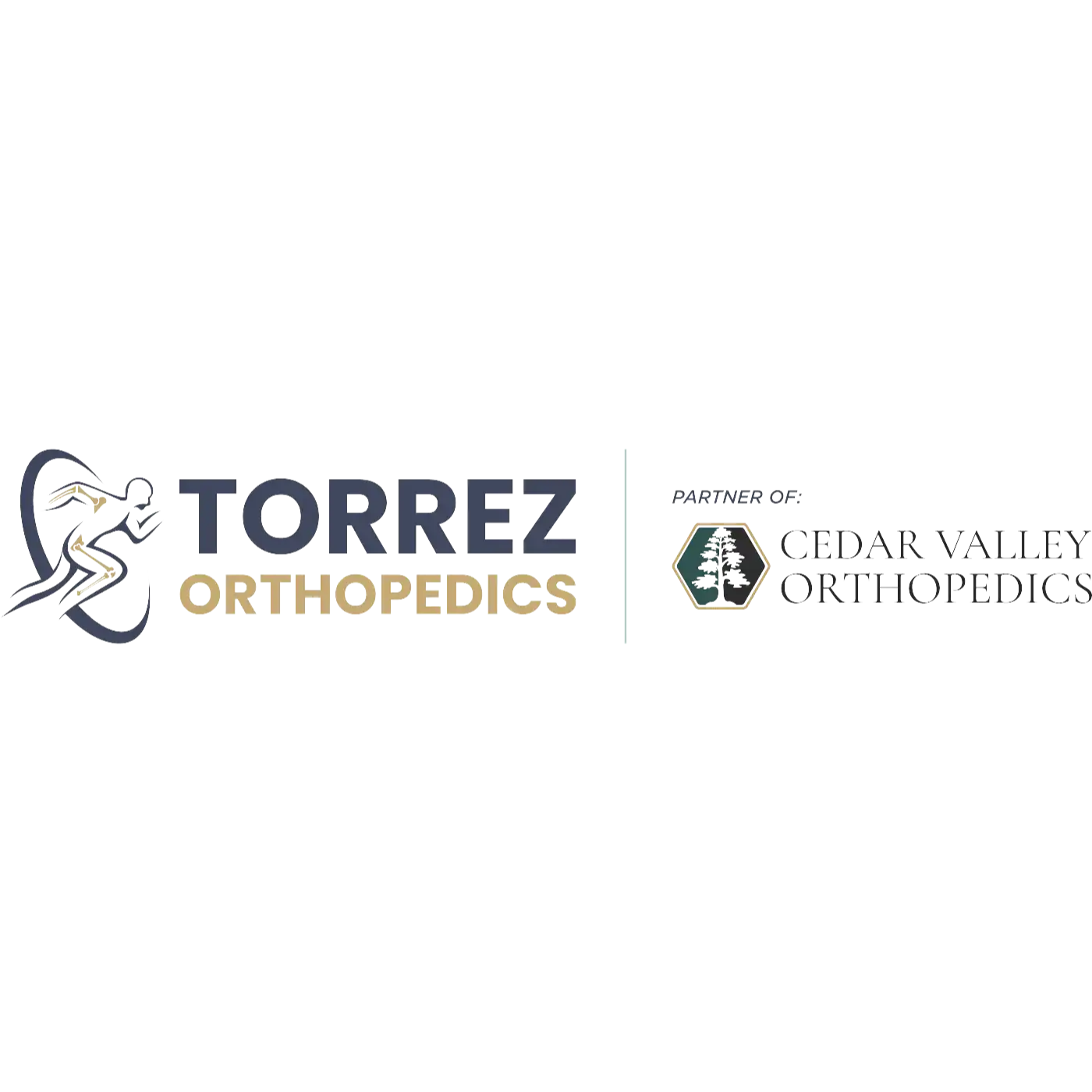 Torrez Orthopedics & OrthoExpress
