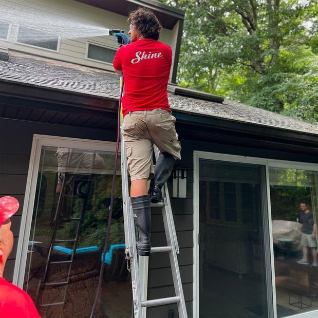 Images Shine of Charlotte