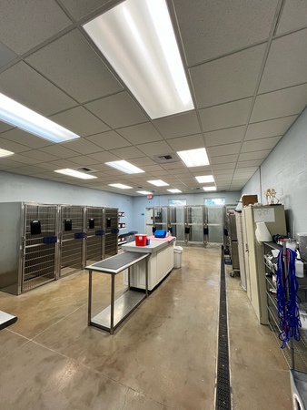 Images VCA Noah’s Place Animal Medical Center