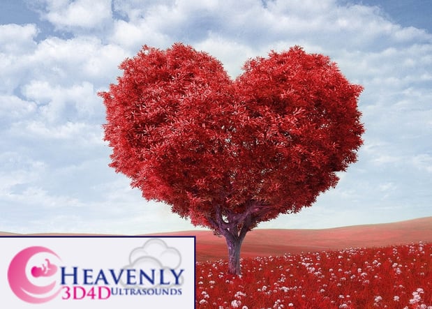 Images Heavenly 3D 4D Ultrasounds
